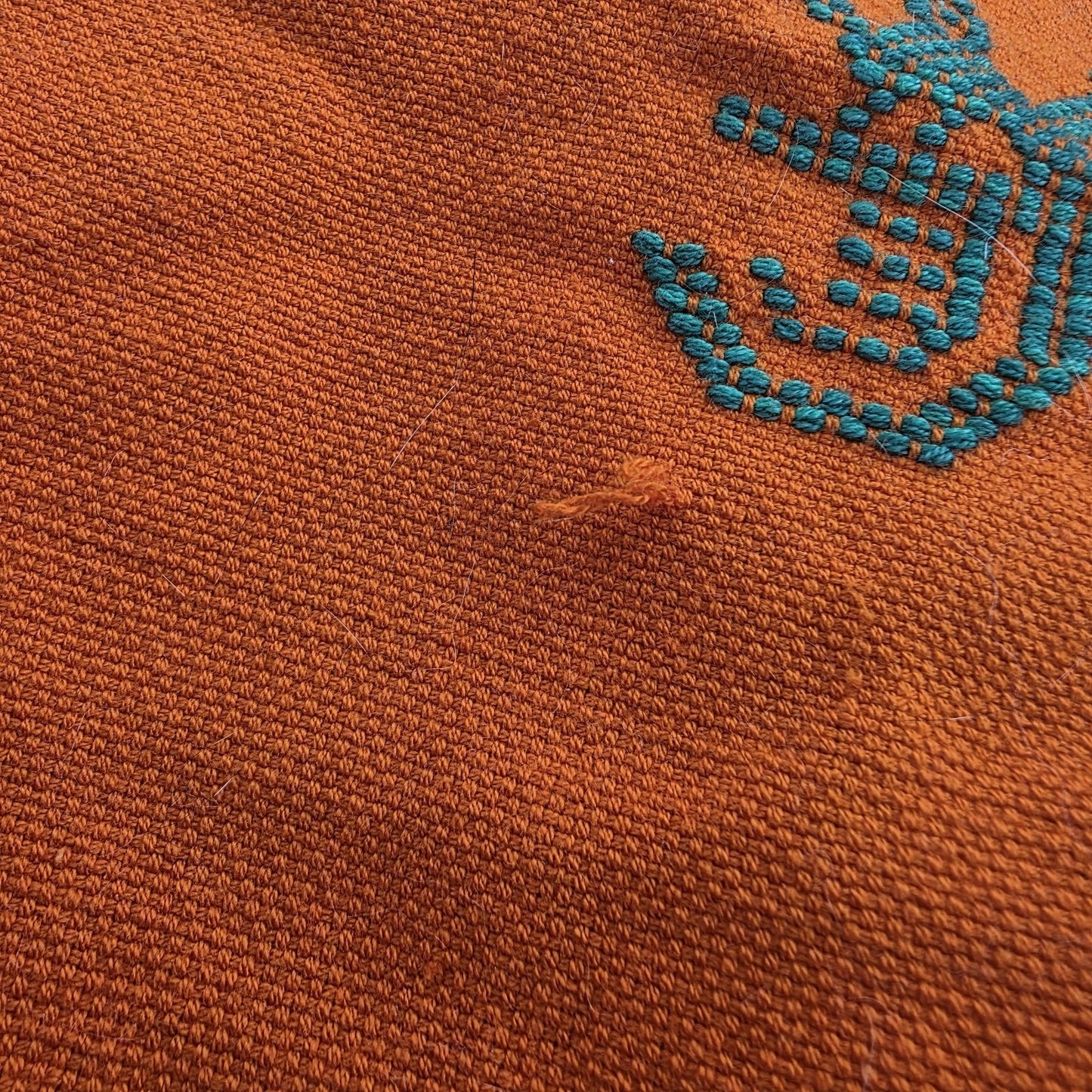 Vintage Mexican Handwoven Orange Blanket Bird Embroidery Serape Textile Throw