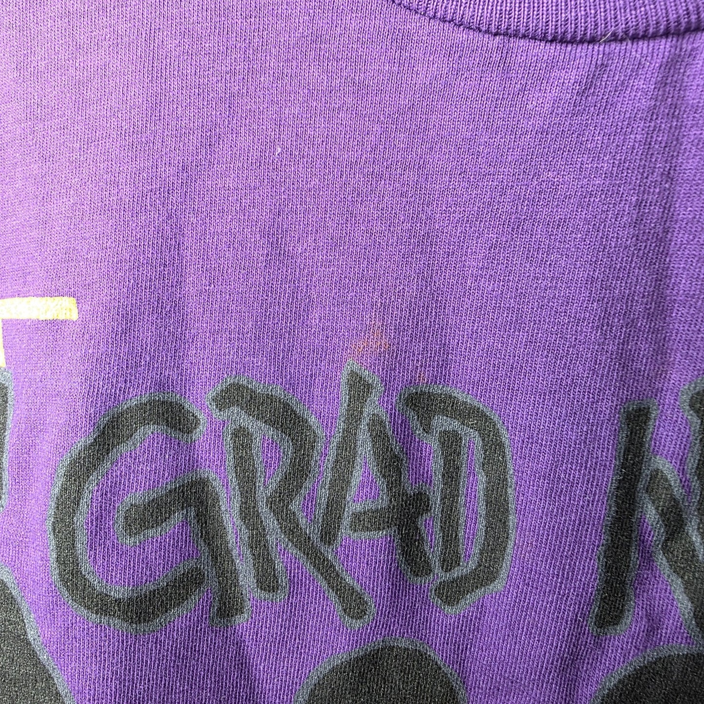 Rare Vintage Disney GradNite 1993 Mickey Mouse Stussy Tee 90s Size Small/Medium